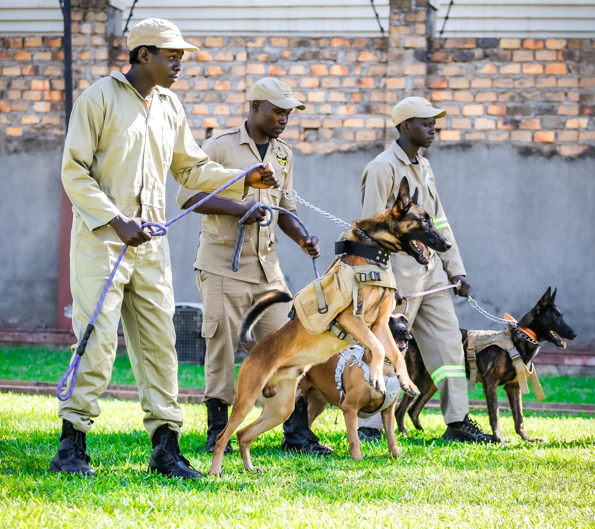 K9 Unit Services